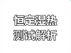  恒定湿热试验
