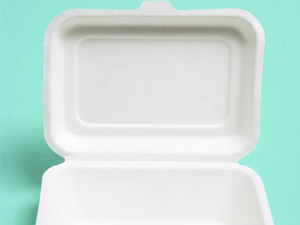  美国食品接触材料检测
