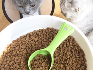  猫粮狗粮检测