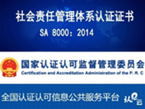  企业社会责任管理体系认证