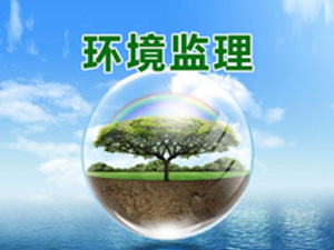  环境监理