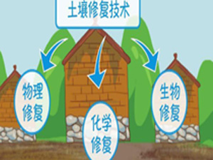  土壤修复